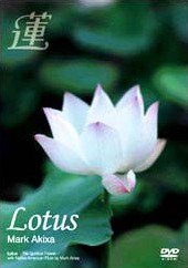 蓮 Lotus